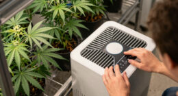 2 Best Air Purifiers for Grow Room in 2026