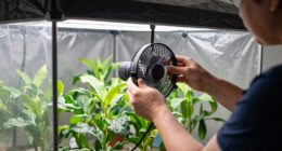 3 Best Clip Fan for Grow Tent in 2026