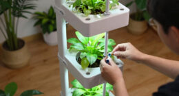 3 Best Hydroponic Tower With Built In Reservoir In 2026