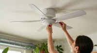 4 Best Ceiling Mounted Circulation Fan for Plant Rooms in 2026