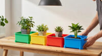 5 Best Expandable Indoor Garden Systems in 2026