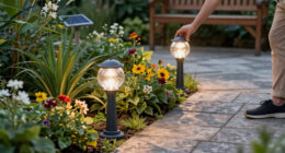 14 Best Solar Garden Lights in 2026