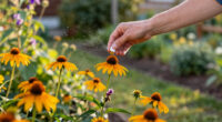 15 Best Pollinator Plants in 2026