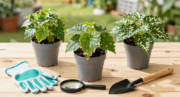 What’s Eating Your Plants? How to Identify Leaf Damage and Stop the Culprit Fast