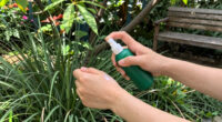 12 Best Tick Repellents in 2026