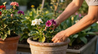 14 Best Outdoor Planters in 2026