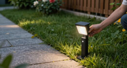 15 Best Solar-Powered Garden Floodlights in 2026