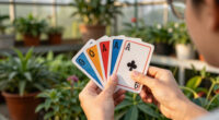6 Best Flashcards in 2026 — Effective Learning Tools for All Ages