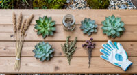 7 Surprisingly Flammable Plants You Should Keep Away From Fireworks