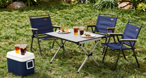8 Best Outdoor Tailgating Furniture in 2026