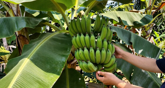 9 Best Banana Plants for Gardens in 2026