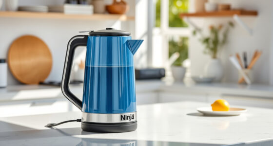 Stay Cool This Summer with Ninja KT200BL Precision Electric Kettle