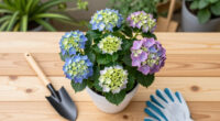 The World’s First Groundcover Hydrangea Is Here, And Everyone Wants This Color-Changing Carpet Of Fabulous Flowers