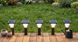 12 Best Solar-Powered Garden Lights in 2026