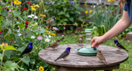 3 Beautiful Backyard Birds That Eat Wasps – And How To Attract Them To Your Yard
