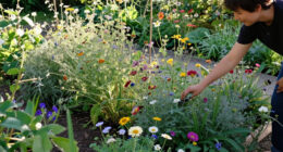 6 Pretty Perennials That Look Better When I Stop Tidying Them And Let Them Go A Little Wild