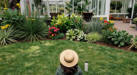 Botanic Gardens, New South Wales, Australia Surges In Global Coverage
