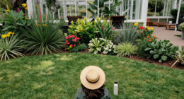 Botanic Gardens, New South Wales, Australia Surges In Global Coverage