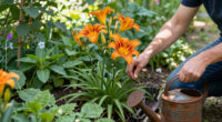 How To Get A Second Flush Of Flowers From Your Daylilies – Plus, This Easy Trick Keeps Plants Looking Fresh
