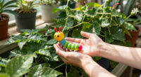 Meet Your Birth Month Caterpillar – And The Beautiful Meaning Behind Each One