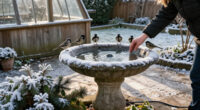 13 Best Heated Bird Baths for Winter Backyards in 2026