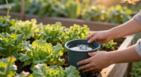 Check Self-Watering Pots And Raised Beds Have This Vital Feature In September Or Risk Drowning Your Plants