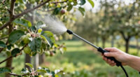 10 Best Apple Tree Pest Control Products for Healthier Trees in 2027