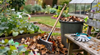 10 Best Garden Cleanup Tools for Faster Yard Work in 2027