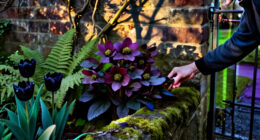 10 Best Gothic Garden Plants in 2027