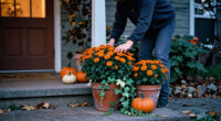 10 Best Outdoor Halloween Planters for Spooky Seasonal Displays in 2027