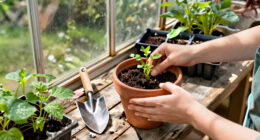 14 Best DIY Planters for Creative Gardening in 2027