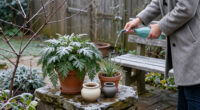 14 Best Winter-Hardy Potted Plants for Color and Structure in 2027