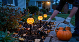 15 Best Halloween Garden Stake Lights for Spooky Outdoor Displays in 2027