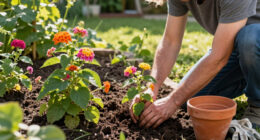 15 Best Lantana Plants for Gardens in 2027