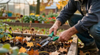 15 Best October Garden Tools for Fall Cleanup and Planting in 2027