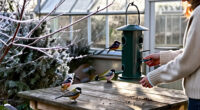 16 Of The Best Winter Bird Feeders That Look Good Enough To Leave Out All Year