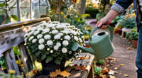 3 Things Your Chrysanthemums Need To Keep Blooming Through October For Longer-Lasting Fall Color