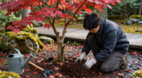 3 Things Your Japanese Maples Need Before The End Of October – An Arborist Reveals How To Prepare Them For Winter