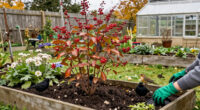 5 Plants To Plant In October To Help Robins, Finches, Redwings And Blackbirds Survive Winter, According To Wildlife Experts