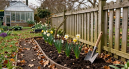 9 Deer-Resistant Bulbs To Plant This Fall For A Colorful Spring Garden
