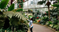 9 Of The World’s Most Extraordinary Gardens, From Skyscraper Forests To A Tropical Rainforest Hidden Inside A Former Mine