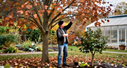 Think Twice Before Pruning Trees In October – Only These 3 Exceptions Can Tolerate A Light Trim